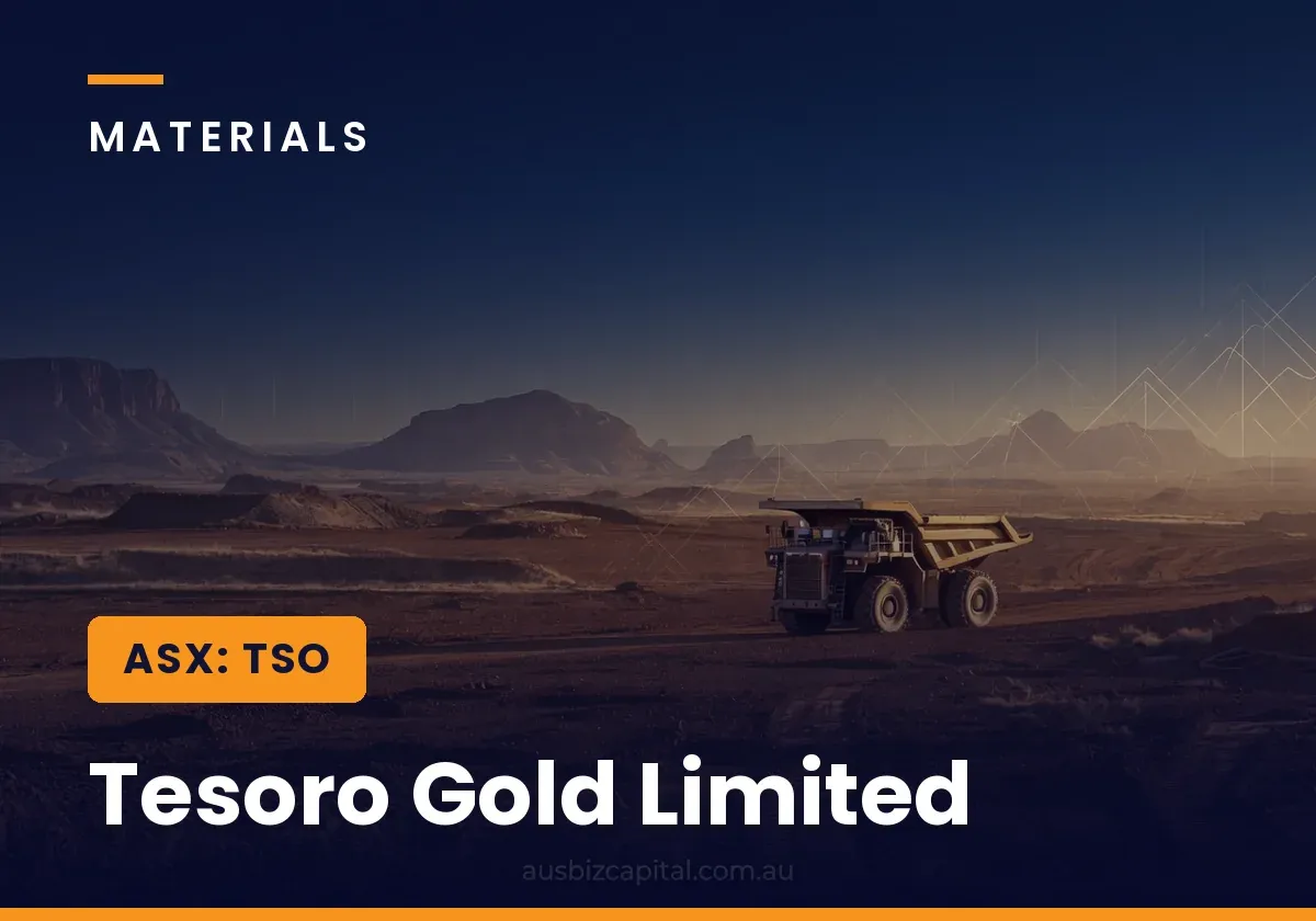 Tesoro Gold Limited (ASX:TSO)